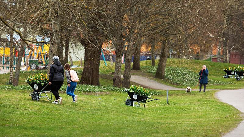 Ta med en skottkärra på äventyr i Höglundaparken i Jordbro Ta med en skottkärra på äventyr i Höglundaparken i Jordbro