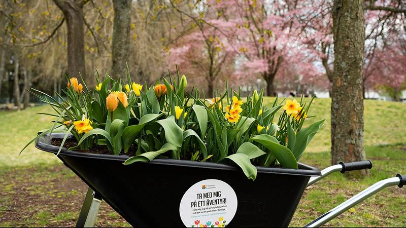 Ta med en skottkärra på äventyr i Höglundaparken i Jordbro Ta med en skottkärra på äventyr i Höglundaparken i Jordbro