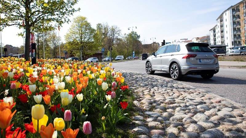 Blommande rondell i Haninge Blommande rondell i Haninge