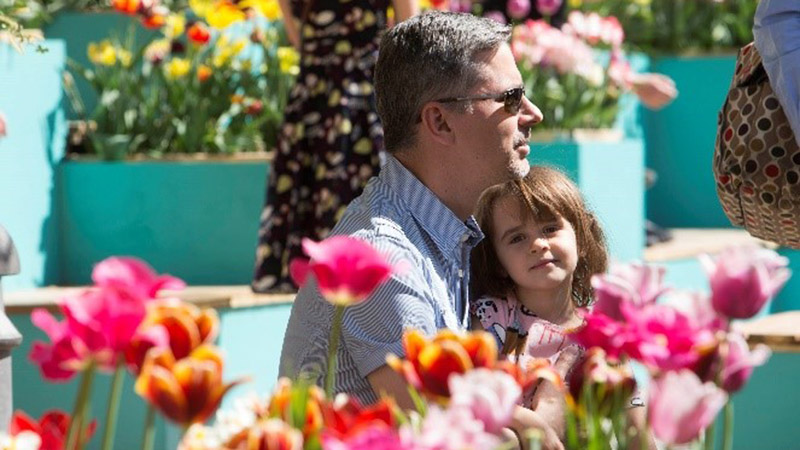 Blommande tulpaner i popup-parken på Poseidons torg i Handen