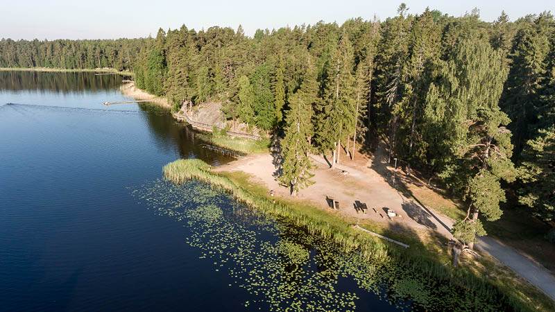 Nedre Rudansjön. Bild på Nedre Rudansjön som möter skogen samt en grillplats.