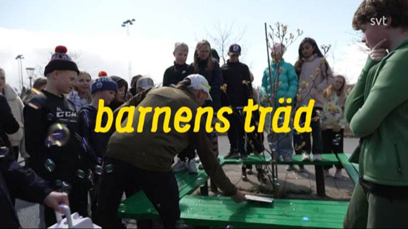 Jonas Paulman inviger Barnens träd Tungelsta skola