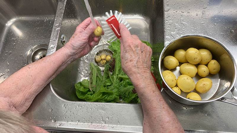 Händer som rensar potatis över  en diskho