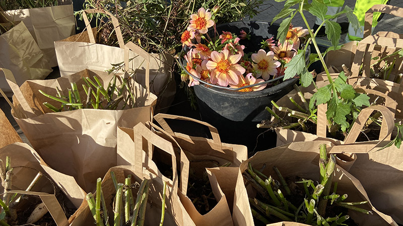 Papperskassar med blommor