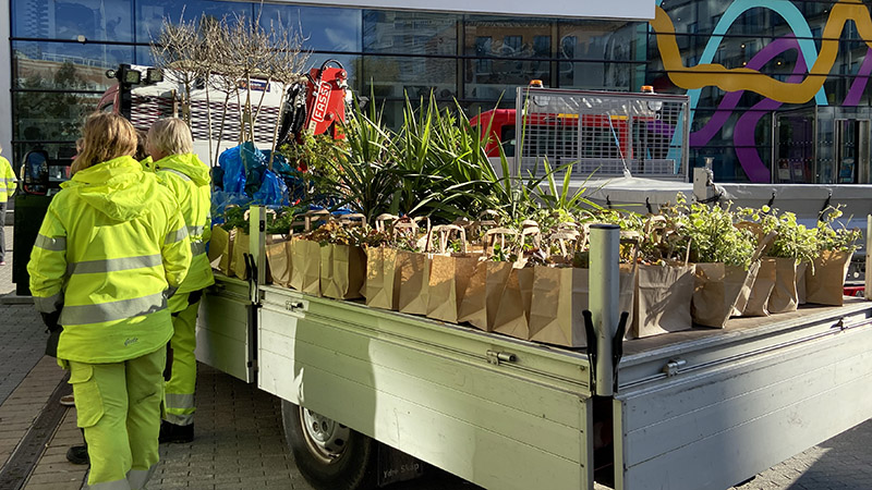 Grupp människor som står i kö för att ta del av en blomsterkasse