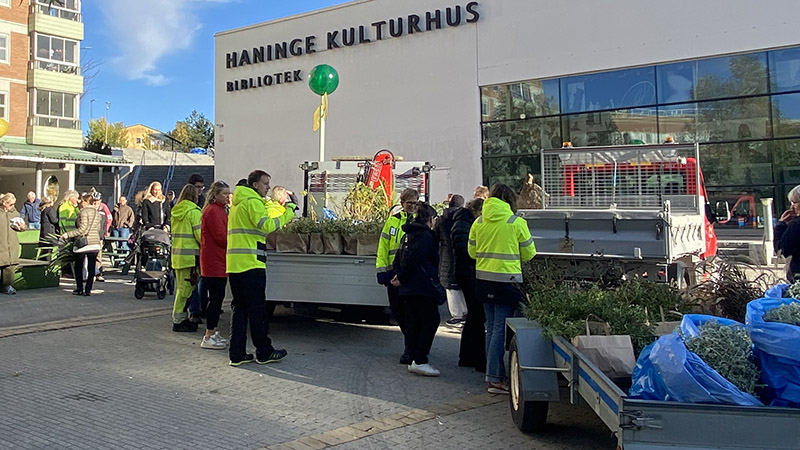 Medarbetare från Haninge kommun som delar ut kassar med blommor