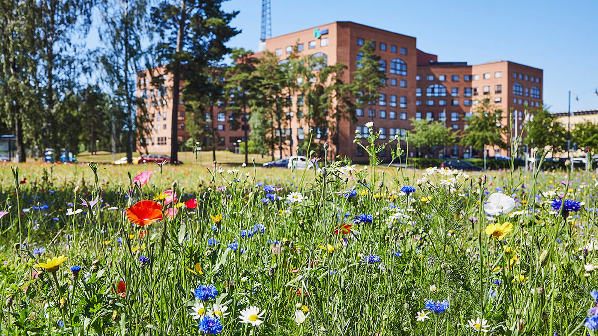 Kommunhus i rött tegel och en äng med blommor