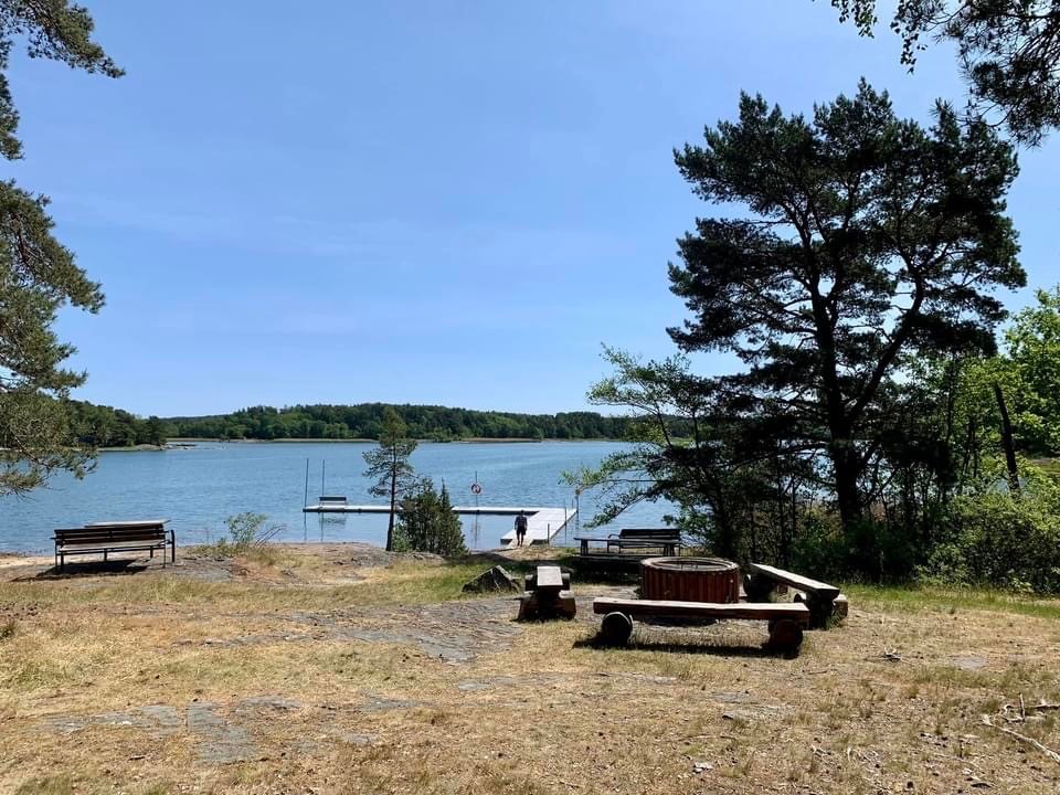 Naturstrand med träd och ett bord.