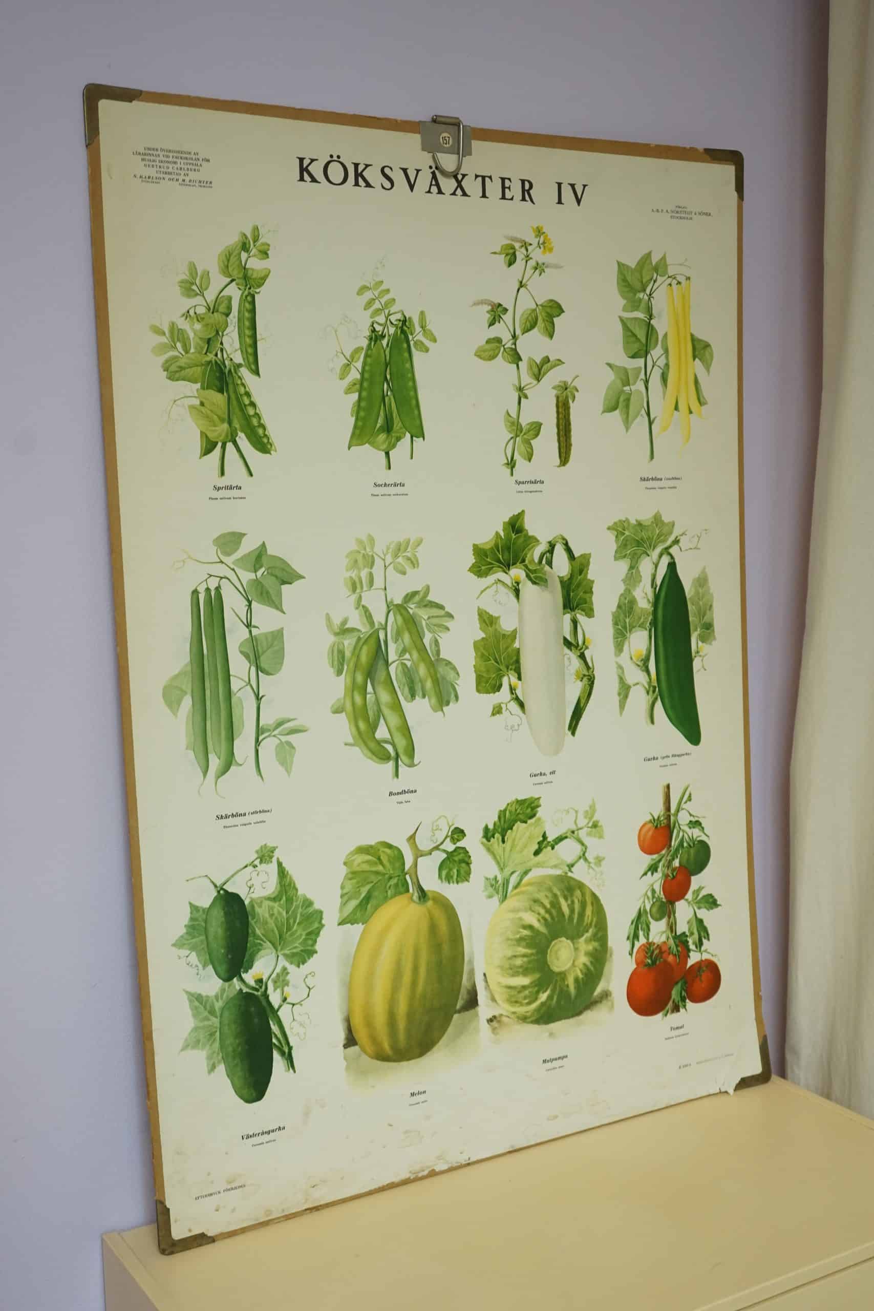 Plansch med köksväxter.