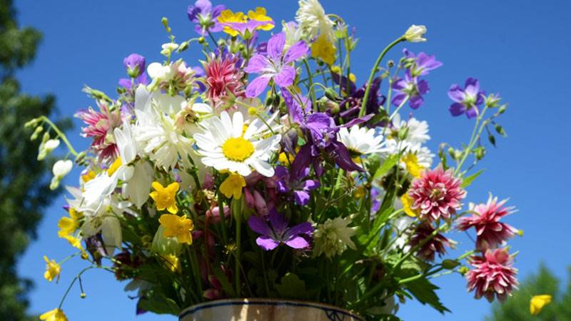 Blommor i vas.