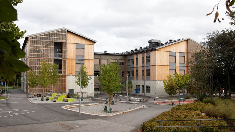 Ribbyskolan