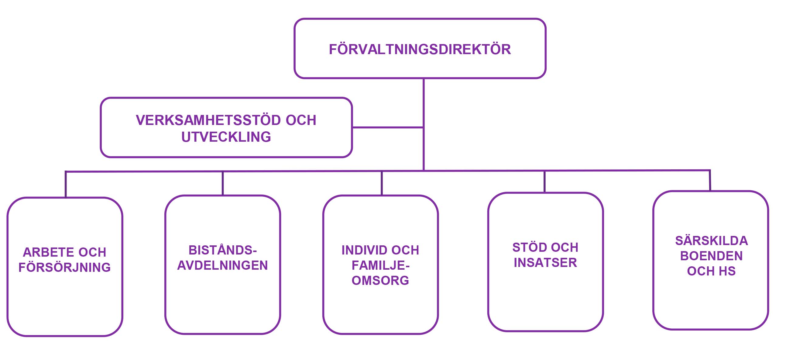 Social- och äldreförvaltningens organisationsskiss