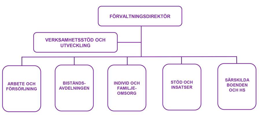 Social- och äldreförvaltningens organisationsskiss