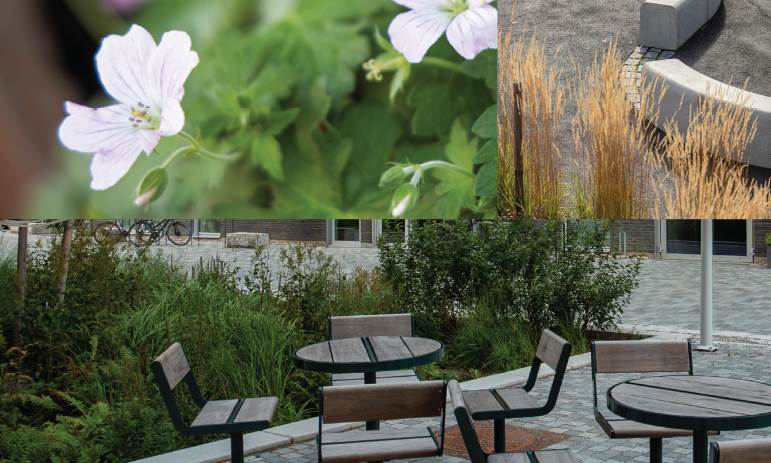 Visionsbilder inför byggandet av Vega torg Kollage med vit blomma, stolar och betongbänk
