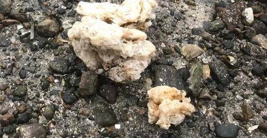 Vi behöver din hjälp att plocka upp paraffinklumparna i skärgården. Beiga paraffinklumpar