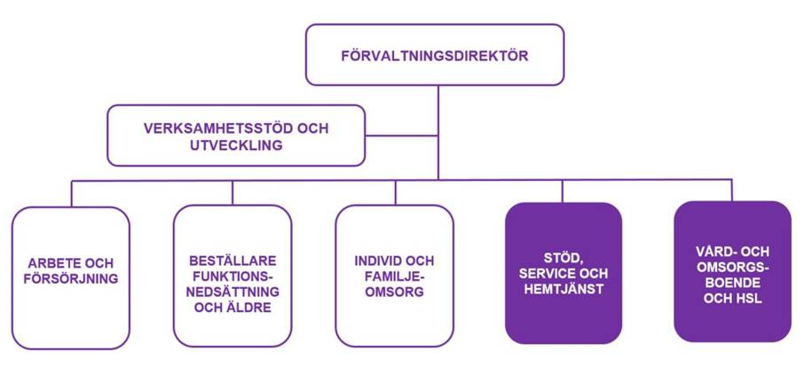 Organisationsskiss