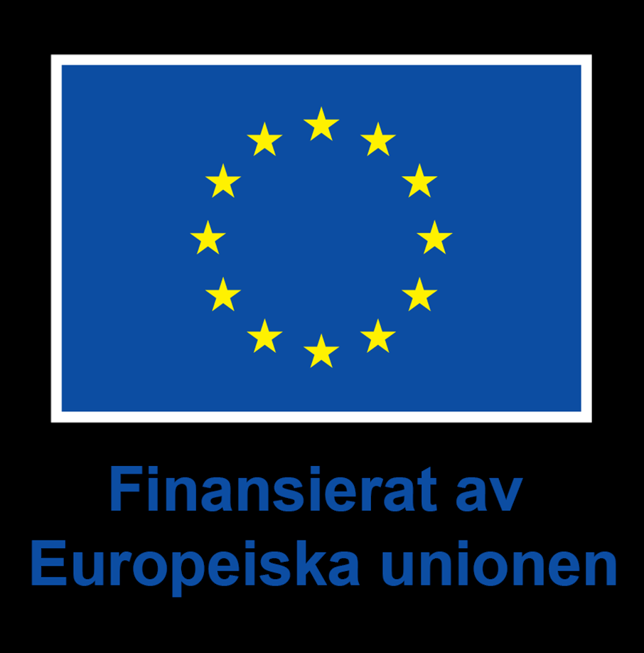 Bild på Europeiska kommissionens emblem med texten: finansierat av Europeiska Unionen