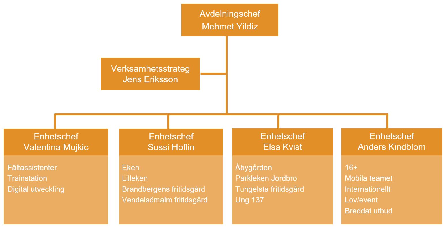 Organisationsschema med fyra enheter.