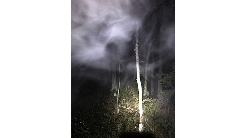 Spöklik promenad i naturen