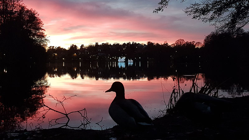 Solnedgång vid Lötsjön i Sundbyberg