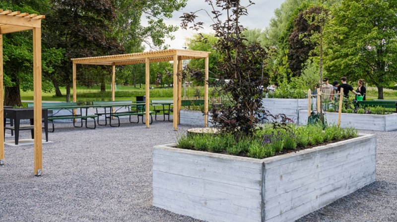 Nya köksträdgården i Höglundaparken.