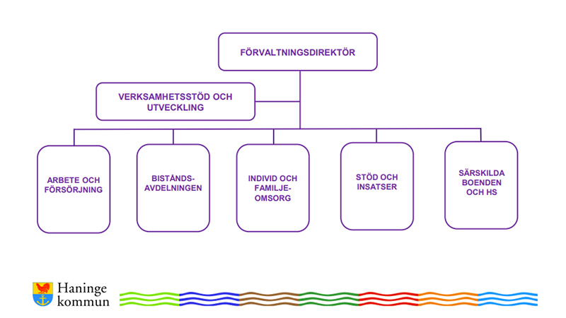Social- och äldreförvaltningens organisation Organisationsskiss som visar social- och äldreförvaltningens organisation