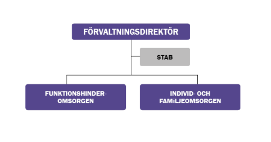 Organisationsschema för socialförvaltningen med en hierarkisk struktur med förvaltningsdirektör på toppen och avdelningarna funktionshinderomsorgen, individ- och familjeomsorgen och stab