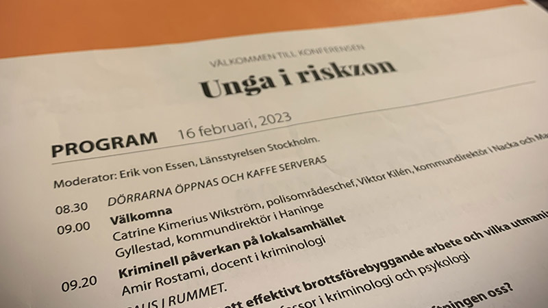 Programblad Unga i riskzon