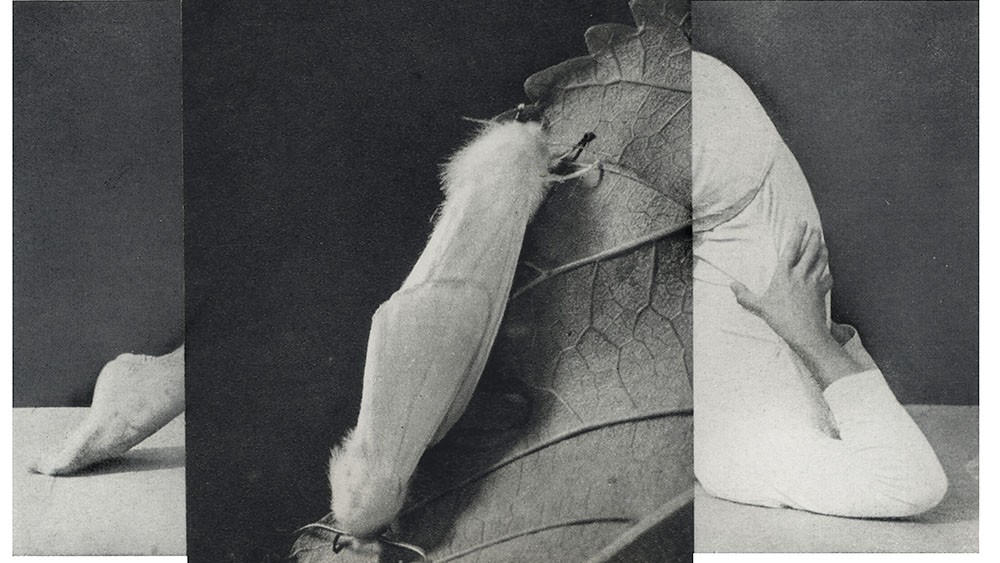 Tredelad illustration av ett dagdrömmande barn, en tonåring i digitalt inre rum och en nunna som avskärmar sig från omvärlden, med fokus på människans inre världar och förvandling likt en fjäril i puppan.