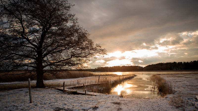 Vinterlandskap med solnedgång
