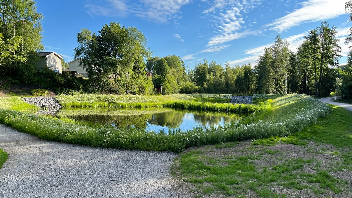 En dagvattendamm omgiven av grönska bredvid en grusad gångväg