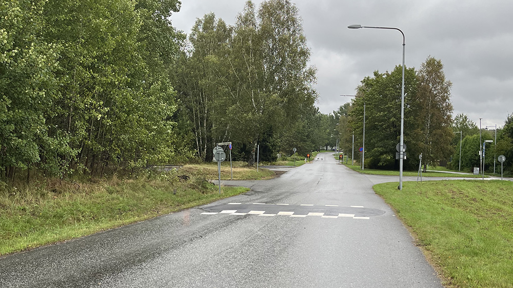 Väg med hastighetsdämpande vägbula