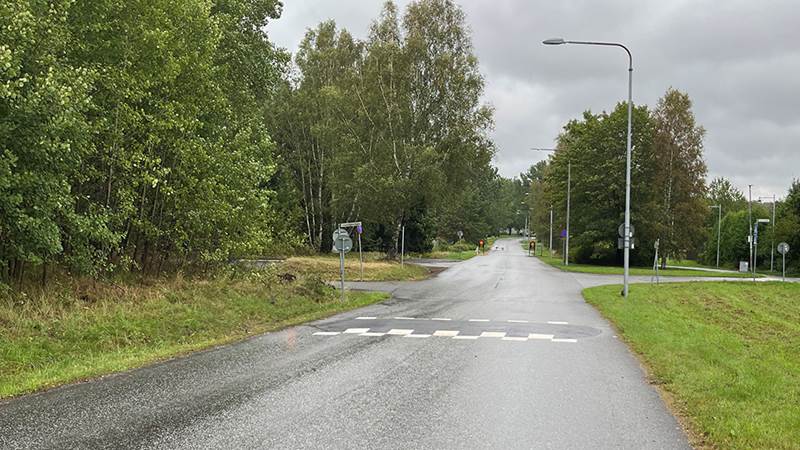 Väg med hastighetsdämpande vägbula