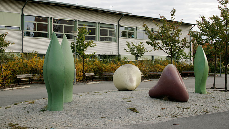 Två granar på en skolgård.