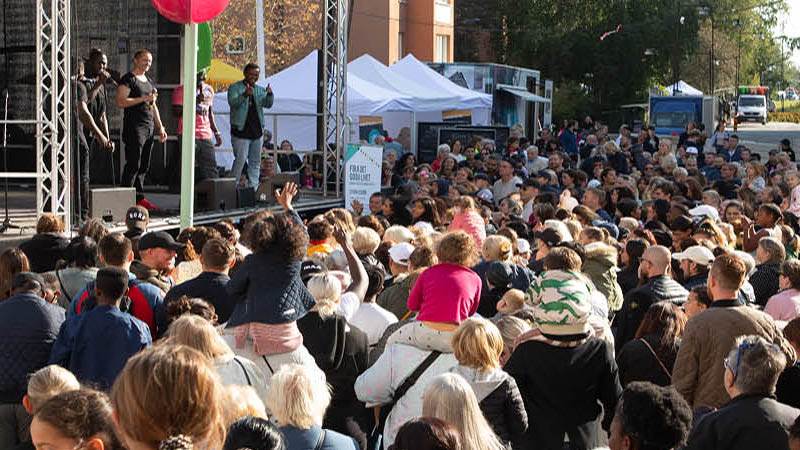 Ett publikhav på Haningedagen 2019