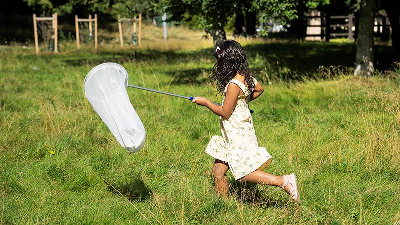 Flicka springer i högt gräs med en insektshåv i handen