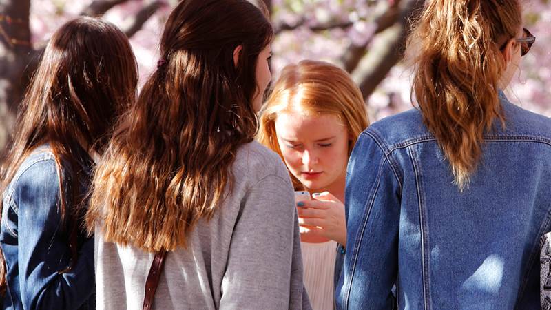 Fyra tonårstjejer står i ring under rosablommande körsbärsträd. En av tjejerna tittar ner i sin mobil.