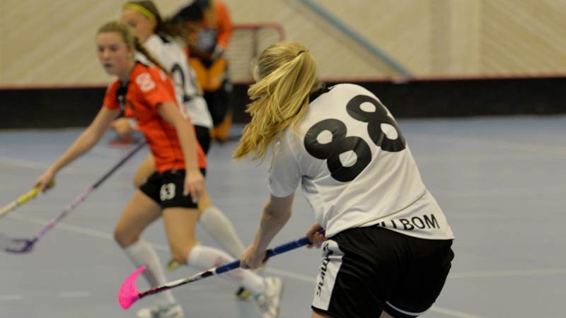 Flickor spelar innebandy. Flickor spelar innebandy.