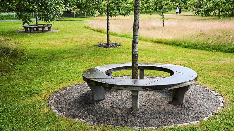 Rund bänk runt ett träd i park Rund bänk runt ett träd i park