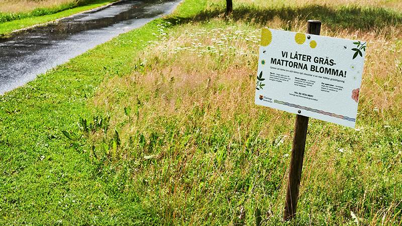 Vi låter gräsmattorna blomma Skylt som står i högt gräs