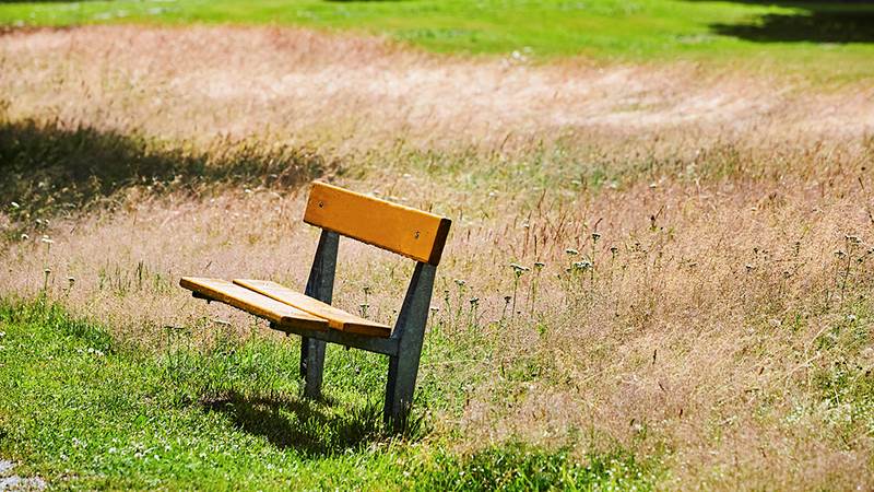 Parkbänk i högt gräs Parkbänk i högt gräs