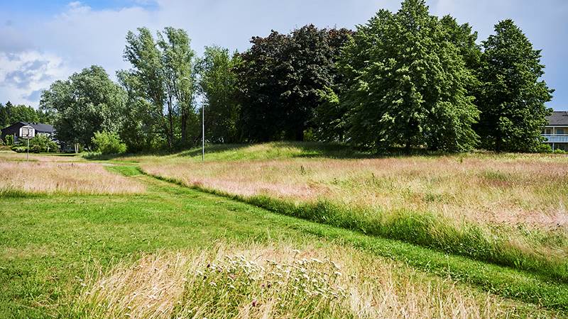 Uppklippt stig i högt gräs Uppklippt stig i högt gräs