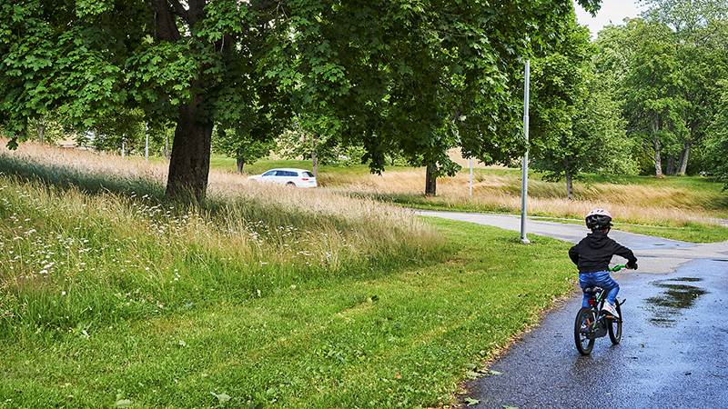 Cyklande pojke i park med högt gräs Cyklande pojke i park med högt gräs