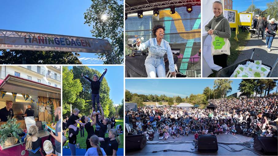 Haningedagen 2024 blev en succé. Collage med bilder från Haningedagen 2024