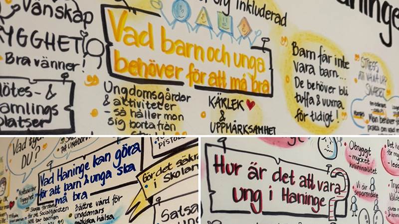 Tavlan som skapades på Haningedagen 2023 ledde till flera konkreta projekt i kommunen. Haningetavlan 2023