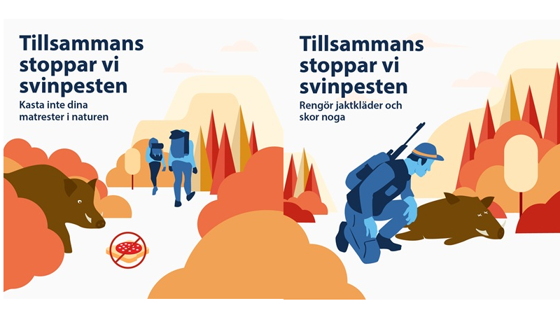 Släng inte matrester i naturen så undviker vi att smitta sprider sig och rapportera döda vildsvin till rapporteravilt.sva.se illustration med vildsvin och tappad smörgås