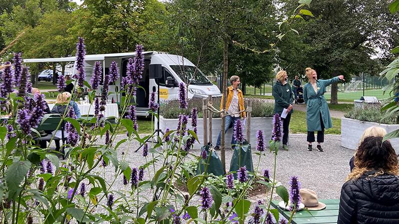 Personer skymtar fram bakom blommor