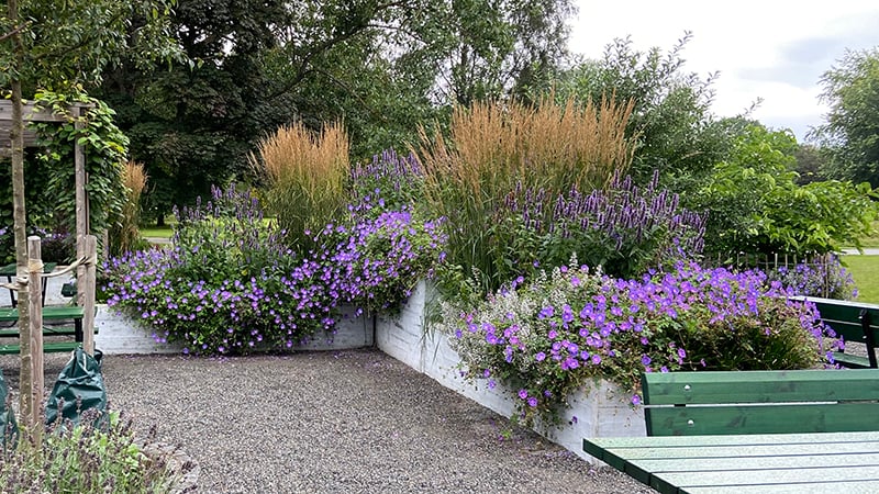 köksträdgården i Jordbro står i full blom