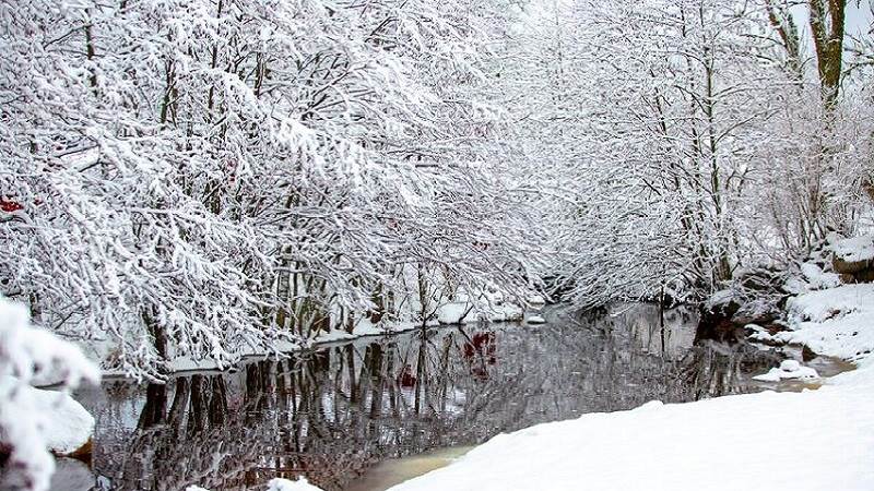 Vinter i Tyresta