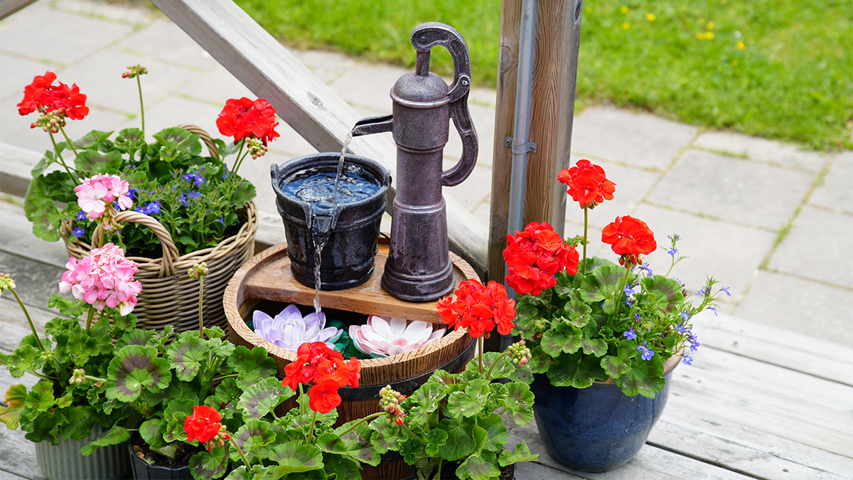 Pelargoner och en pump på en altan.